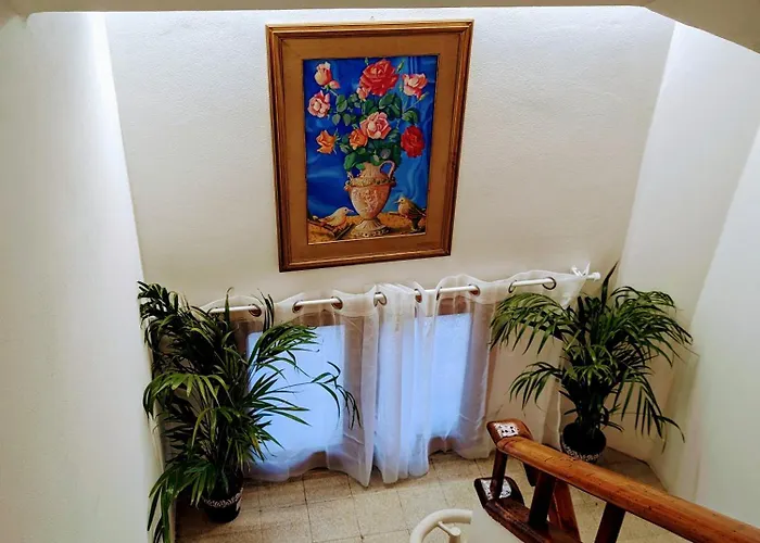 Il Glicine Stadio - Ospedale 3*